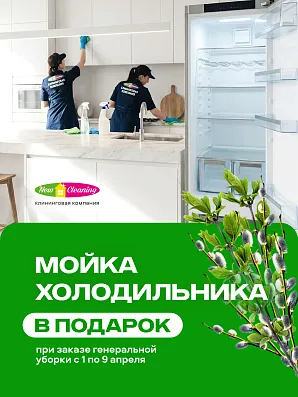 Мойка холодильника в подарок